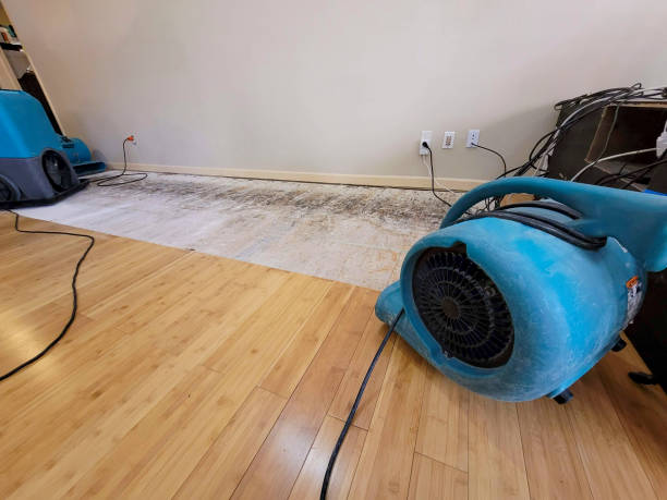 Professional Water Removal technician working in North Baltimore, OH